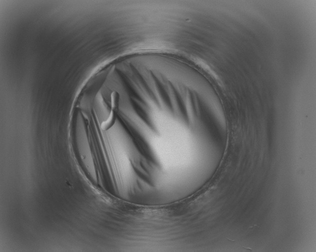 X0000073861469200609071620