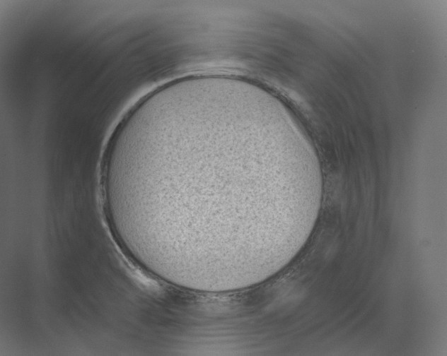 X0000073861470200609071620