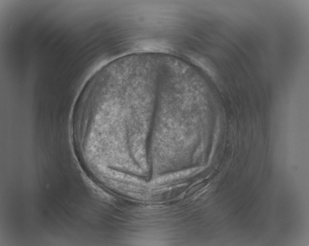 X0000073861471200609071620