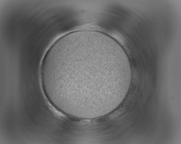 X0000073861478200609071620