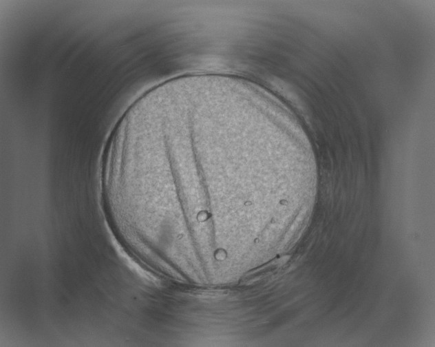 X0000073861479200609071620