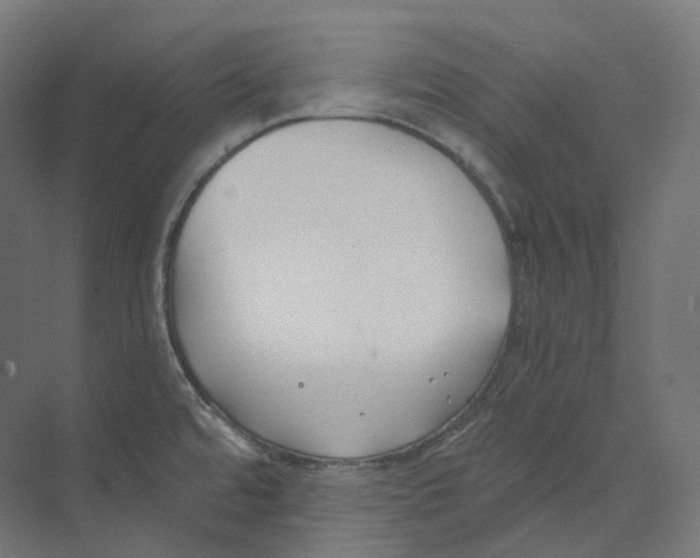 X0000073861480200609071620