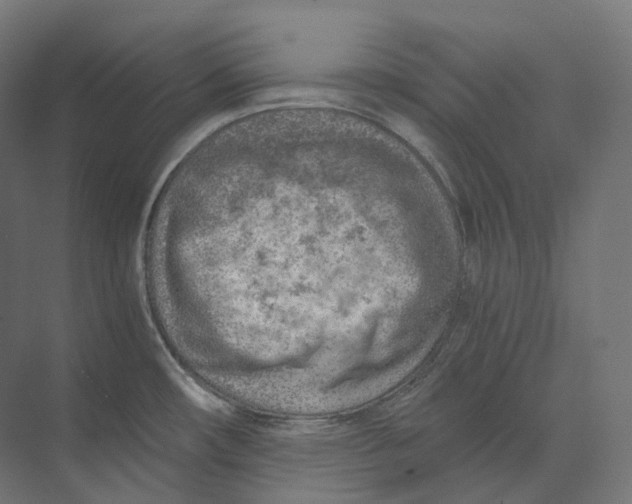 X0000073861482200609071620