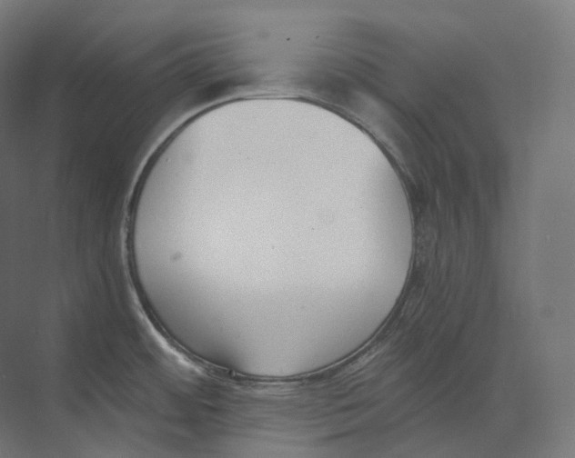 X0000073861484200609071620