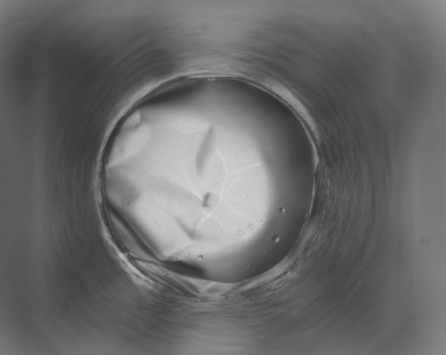 X0000073861485200609071620