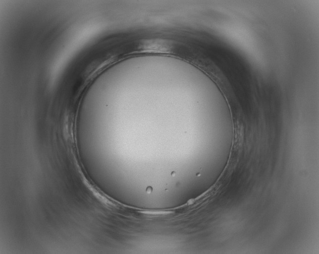 X0000073861487200609071620