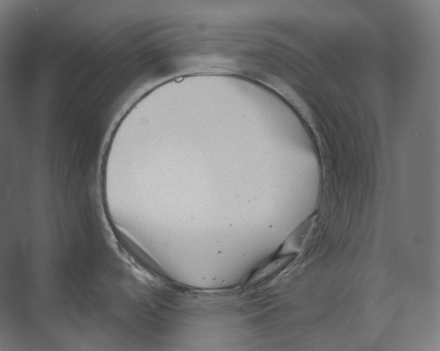 X0000073861488200609071620