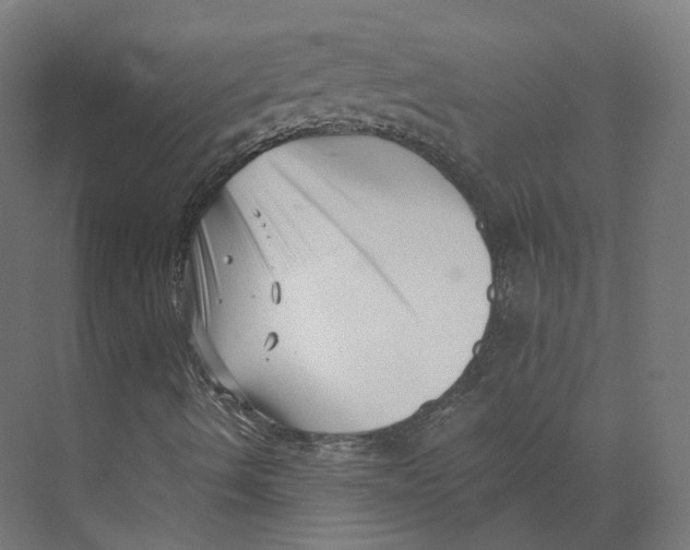 X0000073861490200609071619