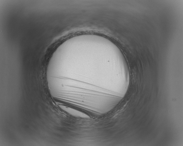 X0000073861494200609071619