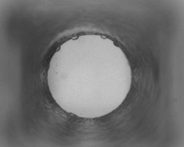 X0000073861495200609071619