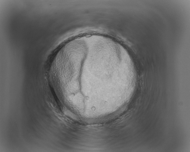 X0000073861496200609071619