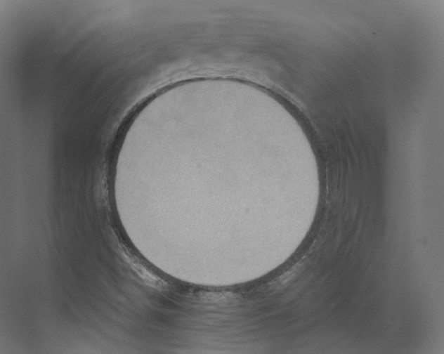 X0000073861498200609071619