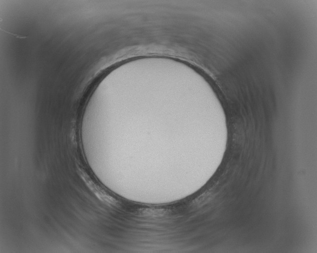 X0000073861499200609071619