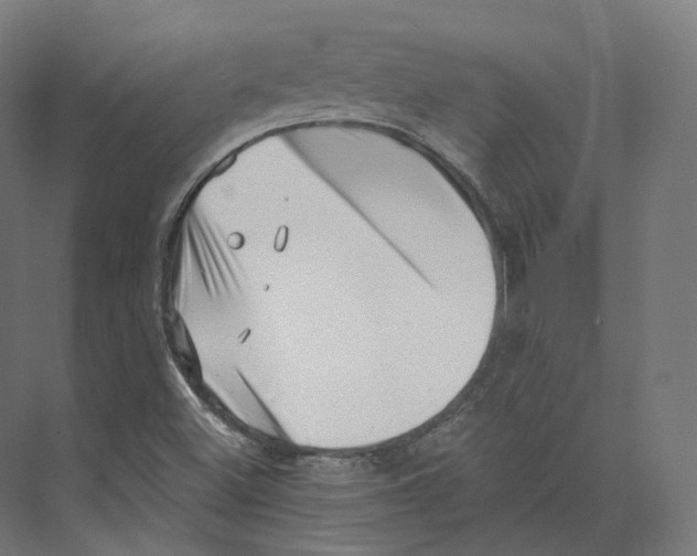 X0000073861500200609071619