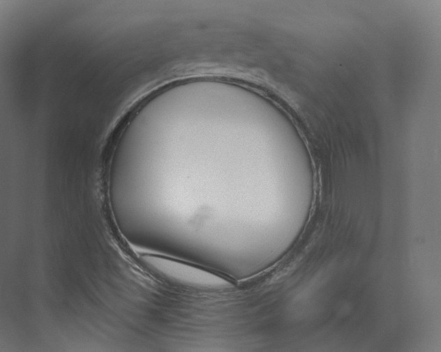 X0000073861501200609071619