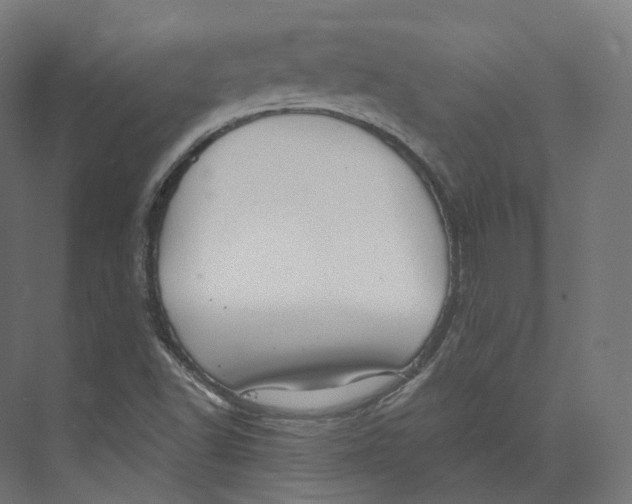 X0000073861502200609071619