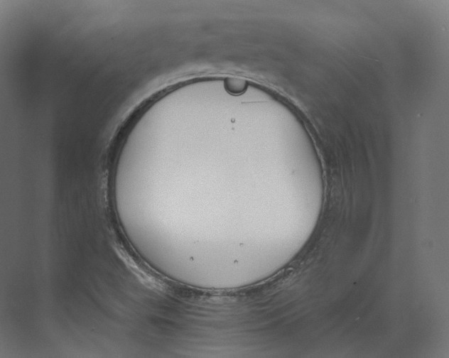 X0000073861503200609071619