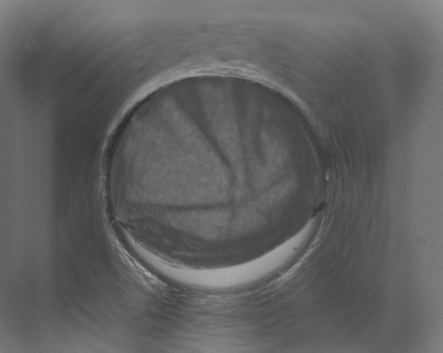 X0000073861506200609071619