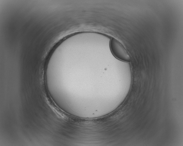 X0000073861507200609071619