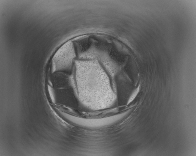 X0000073861508200609071619