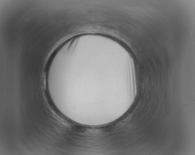 X0000073861509200609071619