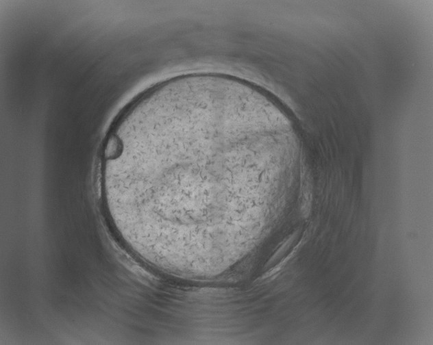 X0000073861510200609071619