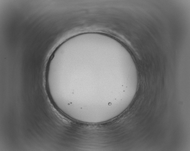 X0000073861512200609071619