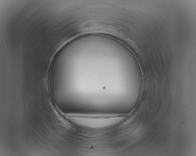 X0000073861513200609071620