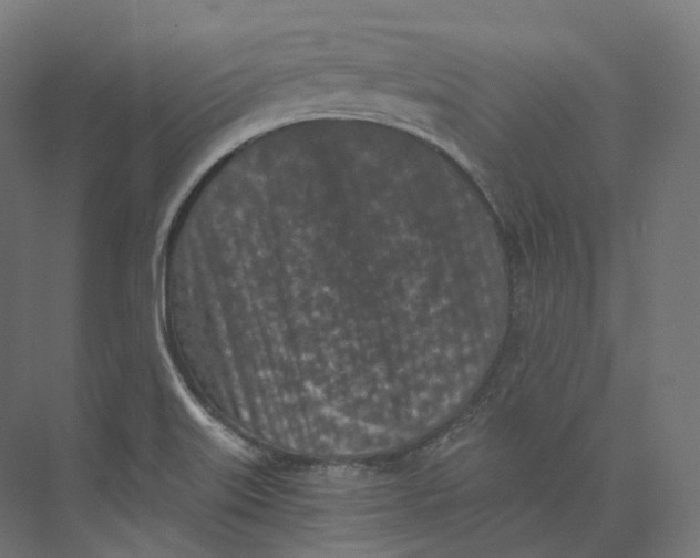 X0000073861515200609071620