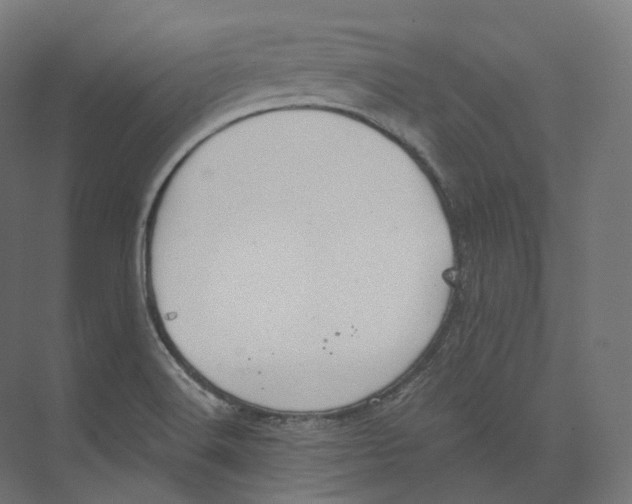 X0000073861516200609071620