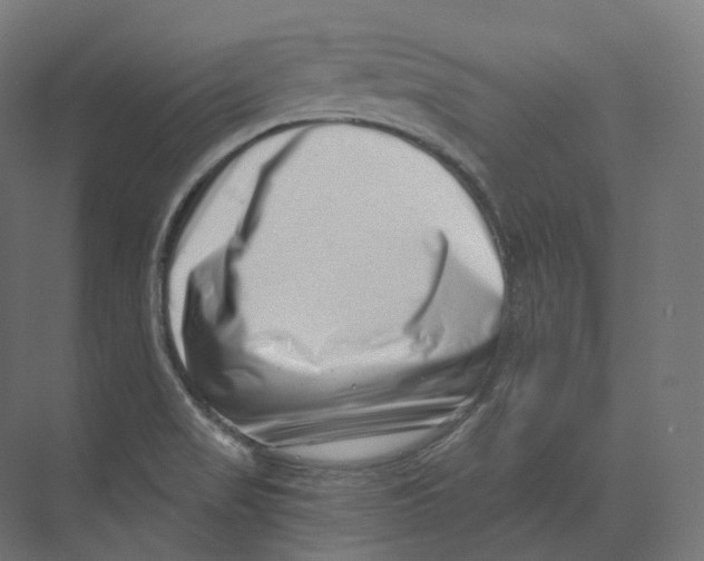 X0000073861517200609071620