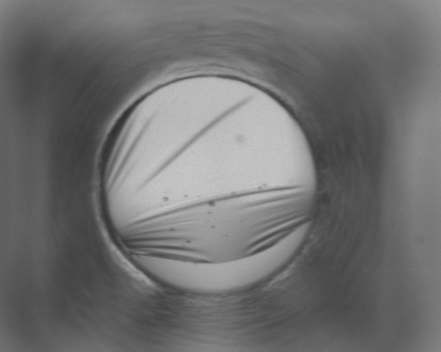 X0000073861518200609071620