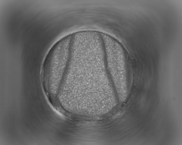 X0000073861519200609071620