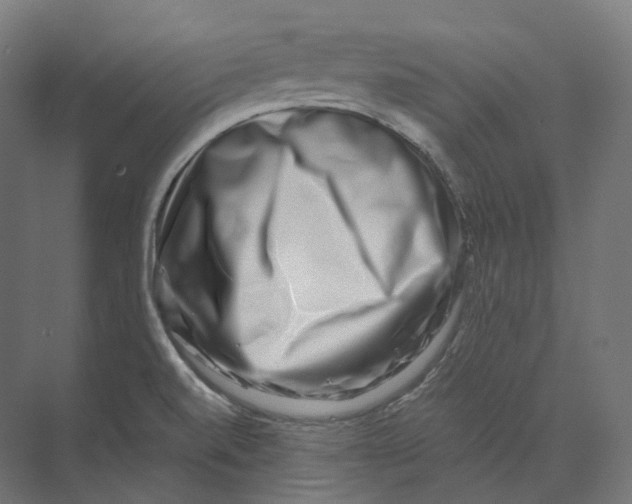 X0000073861520200609071620