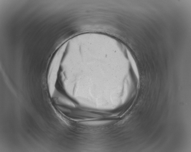 X0000073861521200609071620