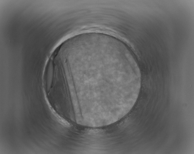 X0000073861522200609071620