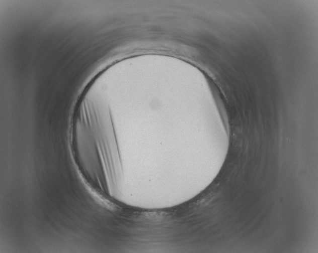 X0000073861523200609071620