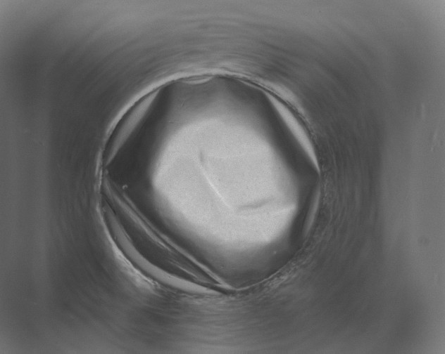 X0000073861524200609071620