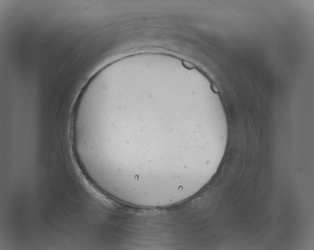 X0000073861526200609071620