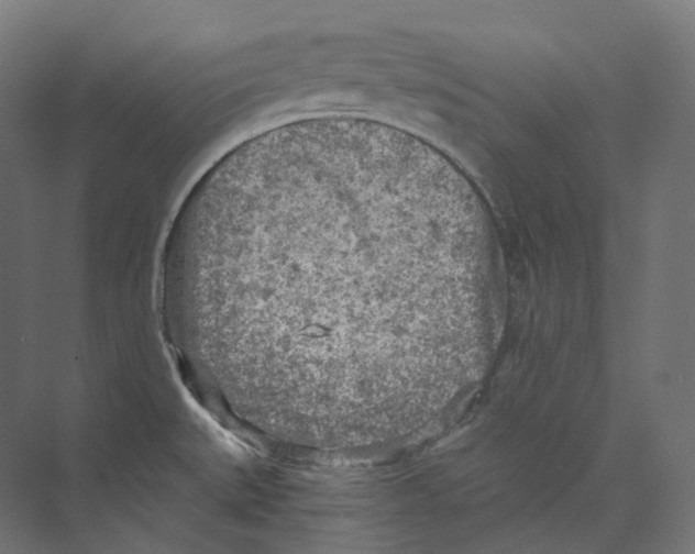 X0000073861527200609071620