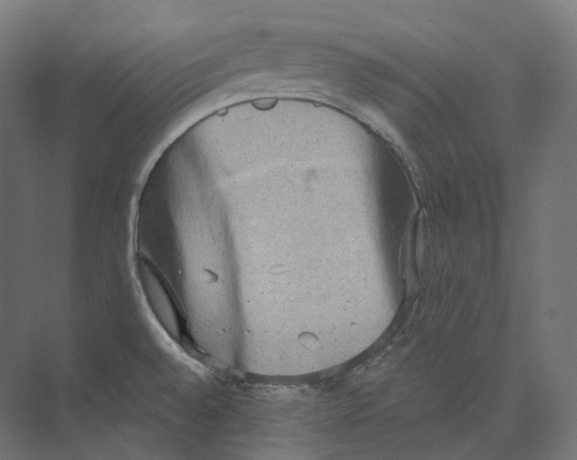 X0000073861528200609071620