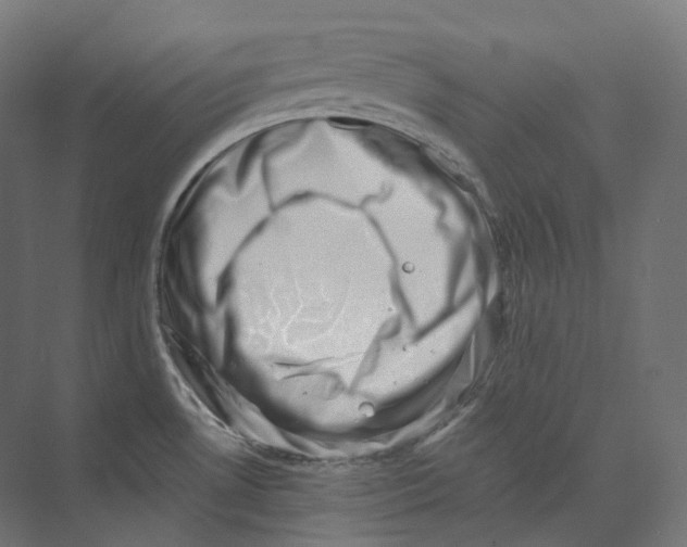 X0000073861530200609071620