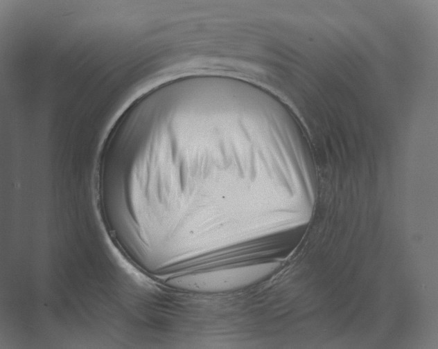 X0000073861531200609071620