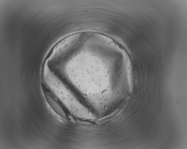 X0000073861532200609071620