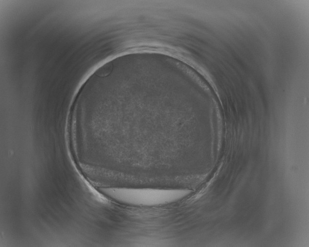 X0000073861533200609071620