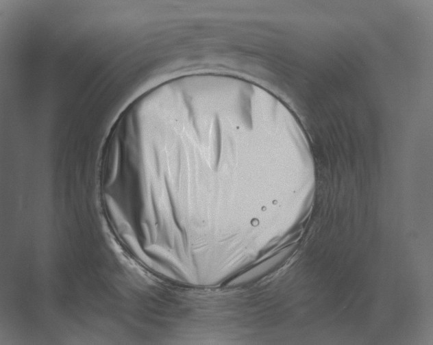 X0000073861534200609071620