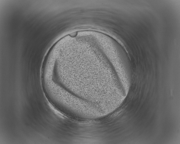 X0000073861535200609071620