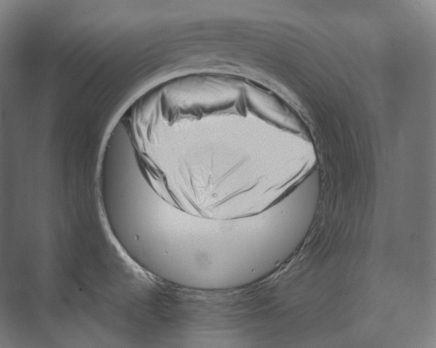 X0000073861536200609071620