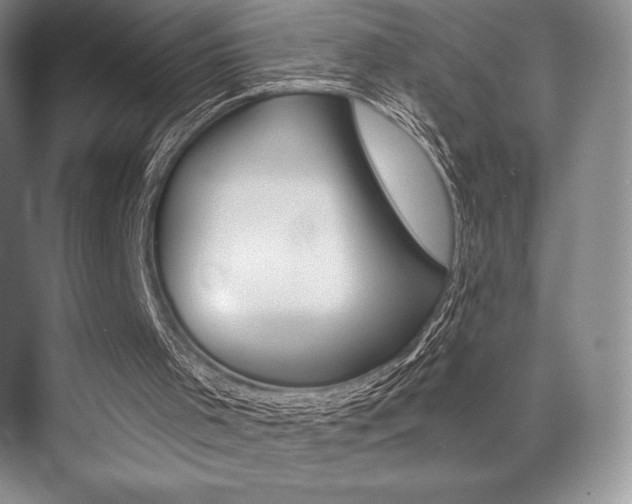 X0000073870001200608101119