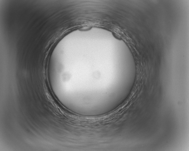 X0000073870002200608101119